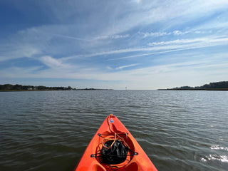 Eco-Adventure! Exploring Wildlife Through Kayaking